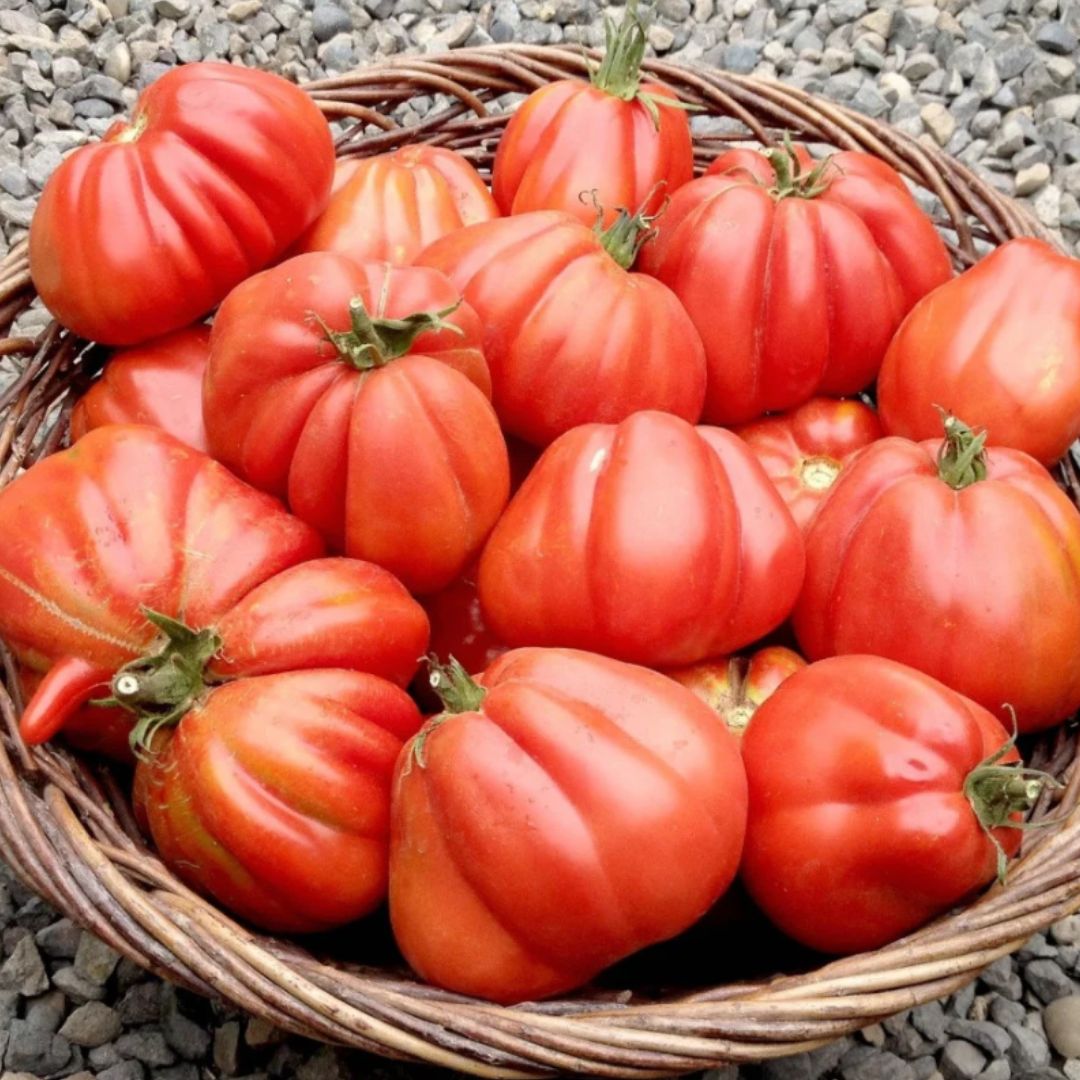 TOMATO GROW - Естествен тор за домати-250ml